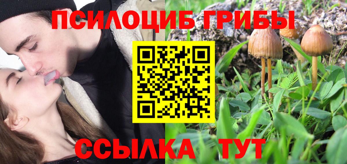 Галлюциногенные грибы прущие грибы Донецк